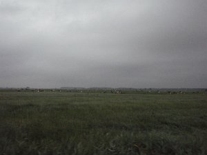 Mitternacht-Radmarathon 213